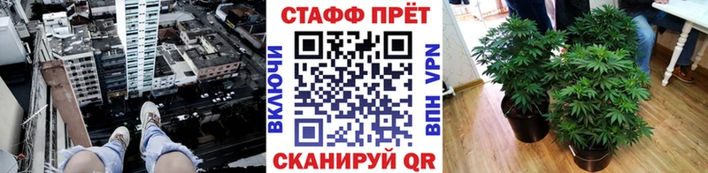 Где продают наркотики Верхоянск Псилоцибиновые грибы  АМФЕТАМИН  Мефедрон  hydra ССЫЛКА  МЕТАМФЕТАМИН  Бошки Шишки  Кокаин 